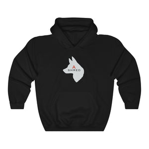 BASIC OB | Hoodie